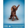Карты Таро "Yoga Dogs Deck  Book Set" US Games / Таро Йоги Собак (30825)