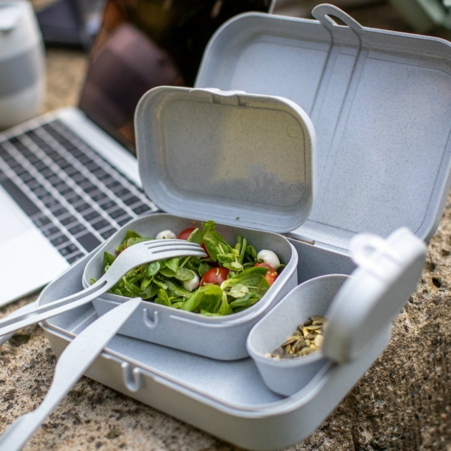 Набор ланч-боксов и столовых приборов pascal, organic, серый, 3 шт. (67289)