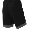 Шорты игровые DIVISION PerFormDRY Union Shorts, черный/темно-серый/белый (1751849)