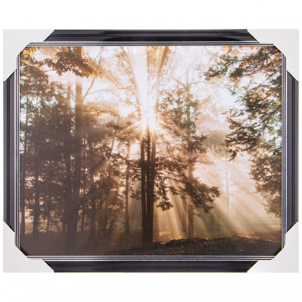 Фотопостер в раме"черный лак с серебром" 40*50 см ООО "лэнд (541-447)