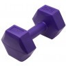 Гантель гексагональная DB-305 2 кг, пластиковый, фиолетовый, пара (2103962)