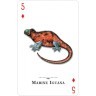 Карты "Reptiles  Amphibians of the Natural World Playing Cards" (47058)