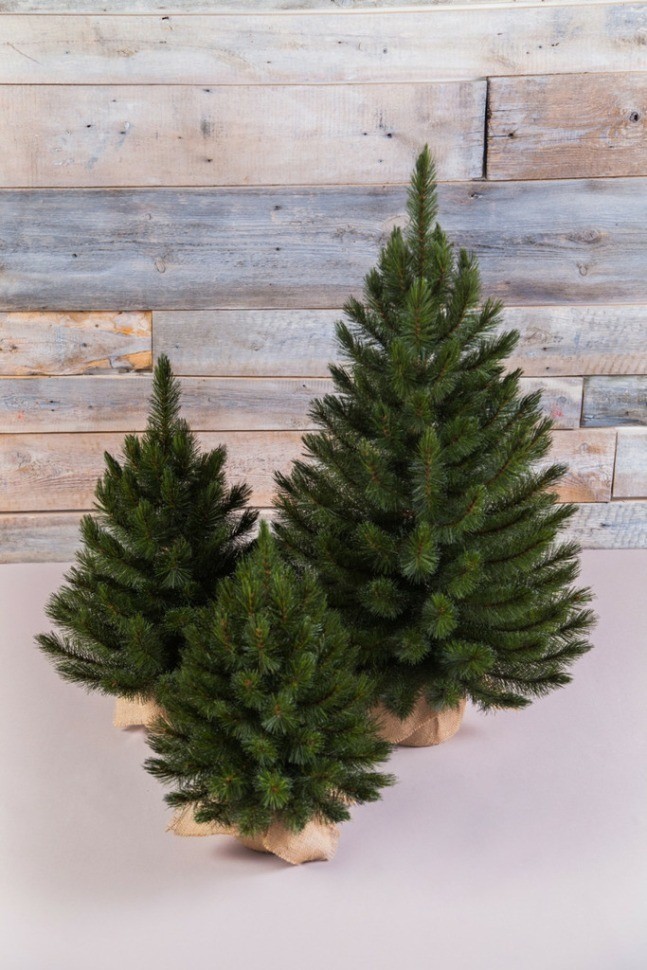 Triumph Tree искусственная ель лесная красавица  90 см в мешочке зеленая