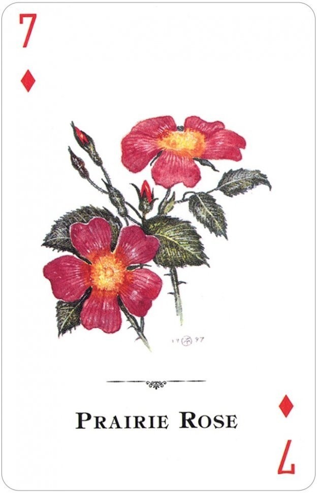 Карты "Wildflowers of the Natural World Playing Cards" (47059)