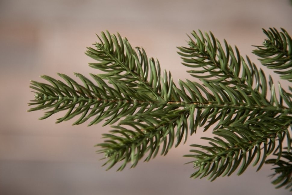 Триумф ель шервуд премиум 230 см зеленая 100% литая (73196)