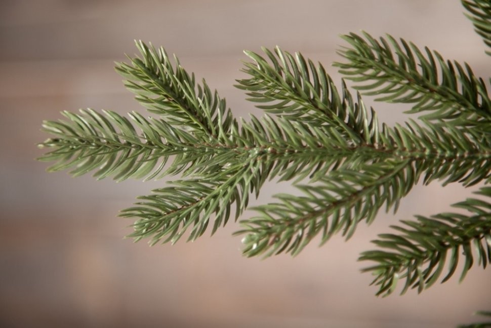 Триумф ель шервуд премиум 230 см зеленая 100% литая (73196)