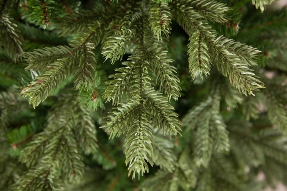 Триумф ель шервуд премиум 230 см зеленая 100% литая (73196)