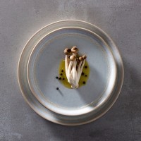 Тарелка NSA251-DNP(NSA251-01117Z), керамика, DUNE PATH, Costa Nova