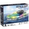Радиоуправляемый катер Gallop (25 см, 15 км/ч) (HJ819-GREEN)