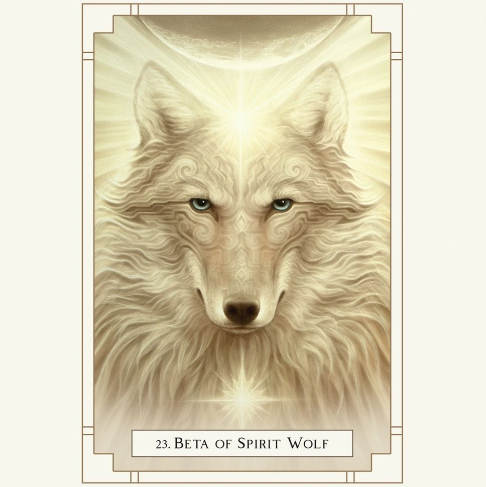 Карты Таро "White Light Oracle" Blue Angel / Оракул Белого Света (46093)