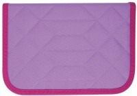 Пенал Tiger Family Rainbow Sorbet TGRW-011C1E (228948) (2) (65654)