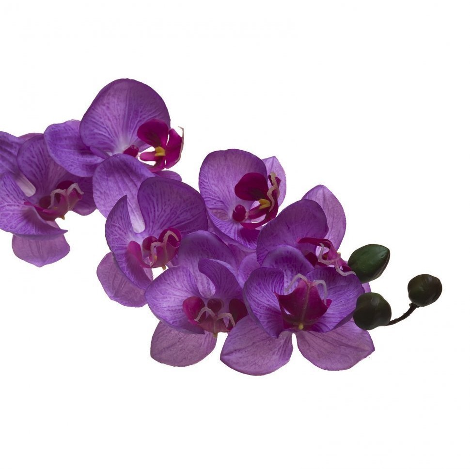 Орхидея лиловая 85 см (12) (00001602)