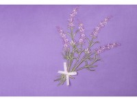 Кпб &quot;лаванда&quot; 2-х сп, сиреневый, с кружевом, под175*215-1шт, прост 250*220-1шт,нав 50*70-2шт SANTALINO (985-101)