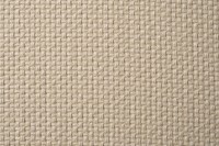 BOTEGA SVBEG Ткань (TT-00013183)