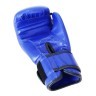 Перчатки боксерские Basic, 10 oz, к/з, синий (778668)