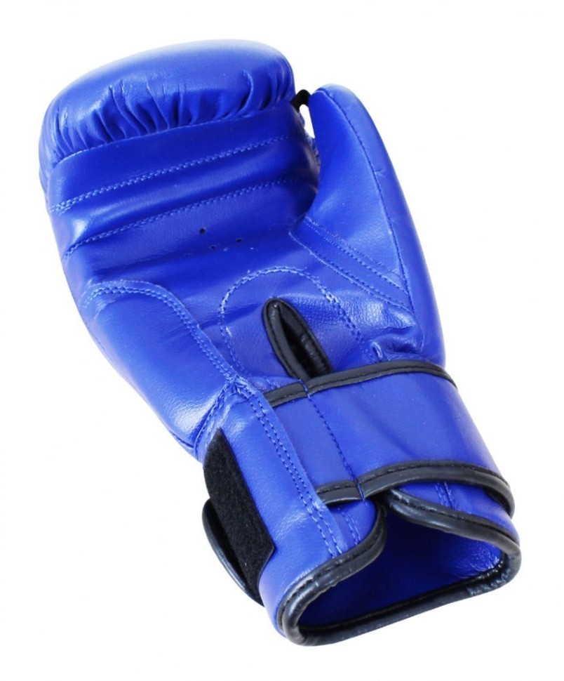 Перчатки боксерские Basic, 10 oz, к/з, синий (778668)