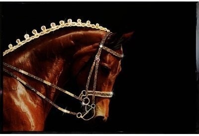 Картина Конь с кристаллами Swarovski (2348)