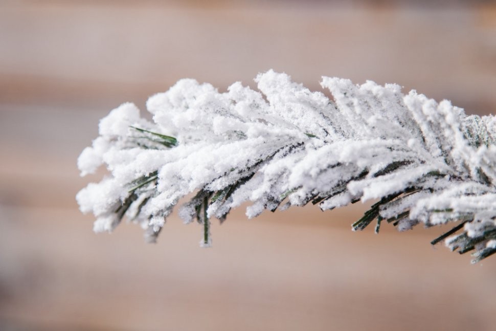 Ель атлантида 215 см 264 ламп заснеженная (74363)