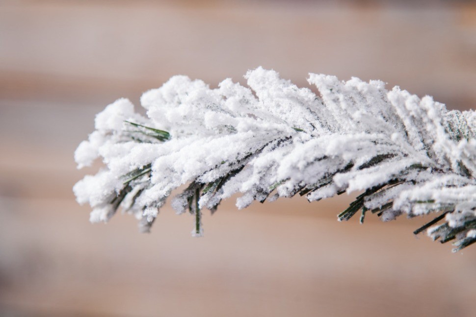 Ель атлантида 215 см 264 ламп заснеженная (74363)