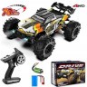 Радиоуправляемый внедорожник Drive PRO 4WD 1:16 (SCY-16102PRO-ORANGE)