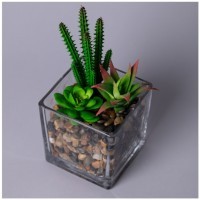 Суккулент искусственный в прозрачном горшке 11*17см мал.уп.=8шт Lefard (535-401)