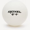 Мяч для настольного тенниса Roxel 2* Swift, белый, 6 шт. (610662)