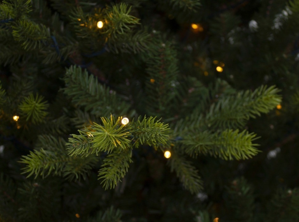 Ель датская 185 см 312 ламп зеленая (74387)