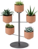Подставка для растений terrapotta, titanium, 5 горшков (71412)
