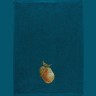 Полотенце махровое 40х70см,"груша"100%хлопок, бирюза SANTALINO (850-600-47)