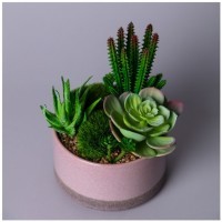 Суккулент искусственный в горшке 16*17см Lefard (535-402)