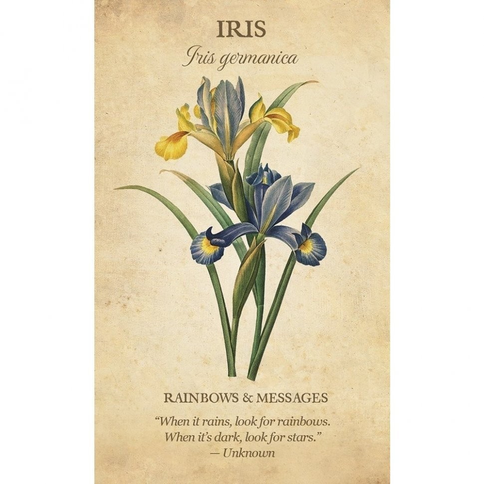 Карты Таро "Botanical Inspirations Deck/Book Set" US Games / Ботанические Вдохновения (46088)