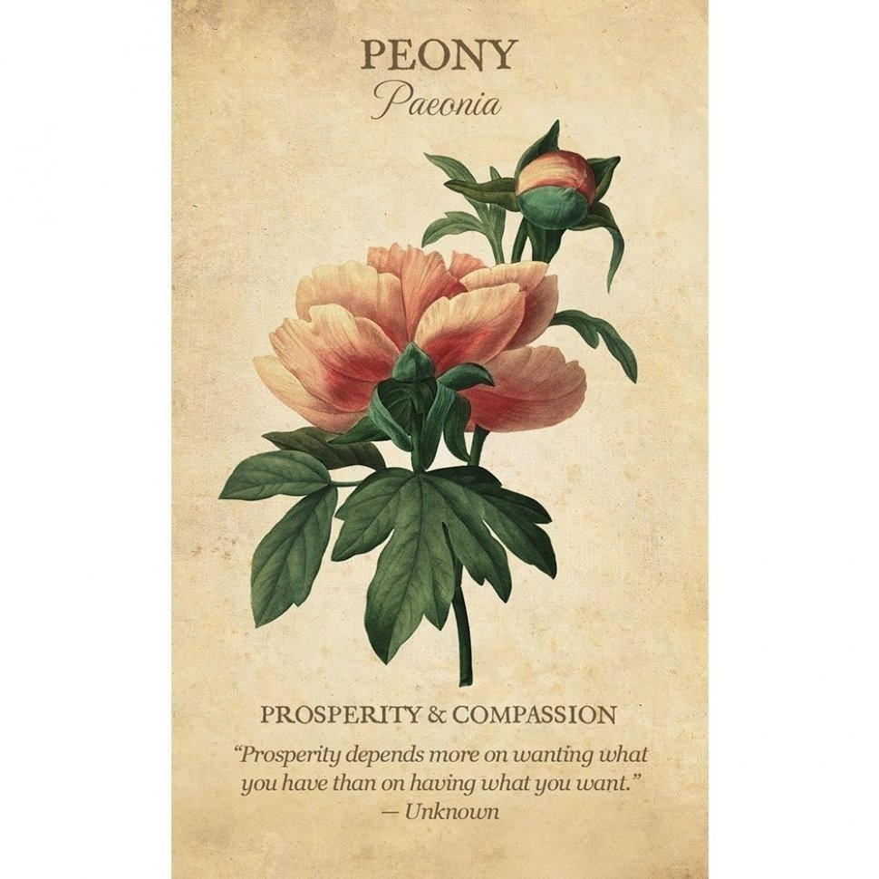 Карты Таро "Botanical Inspirations Deck/Book Set" US Games / Ботанические Вдохновения (46088)