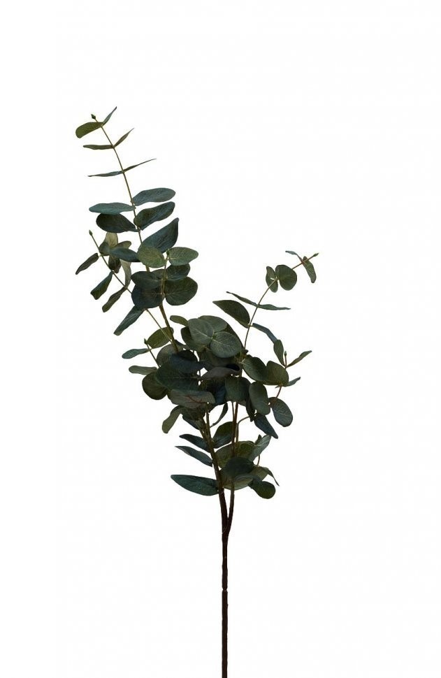 Листья эвкалипта 90 см (24) (TT-00000677)