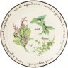 Тарелка десертная lefard "секретные ингредиенты" 16 см Lefard (189-286-1)