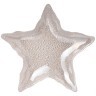 Блюдо "starfish" pearl 28см Bronco (336-095)