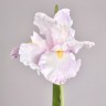 Цветок искусственный "розовый ирис" высота=95см. Lefard (287-579)