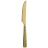 Нож столовый 1TG00003, нержавеющая сталь 18/10, PVD, gold, PINTINOX