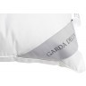 Подушка Лино 50*68 термополотно Лен/лебяжий пух (TT-00011851)