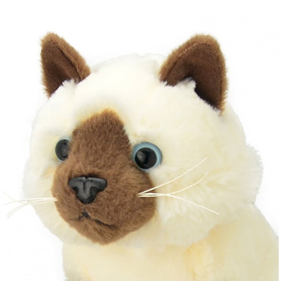 Мягкая игрушка Сиамская кошка, 20 см (K8227-PT)