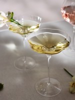 Набор креманок bloom в подарочной упаковке, 260 мл, 2 шт. (79044)