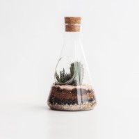 Террариум chemistry (57897)