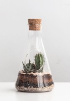 Террариум chemistry (57897)