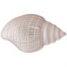 Блюдо "shell" pearl 30см Bronco (336-097)