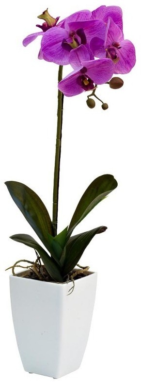 Орхидея сиреневая в горшке, 52 см (TT-00000841)
