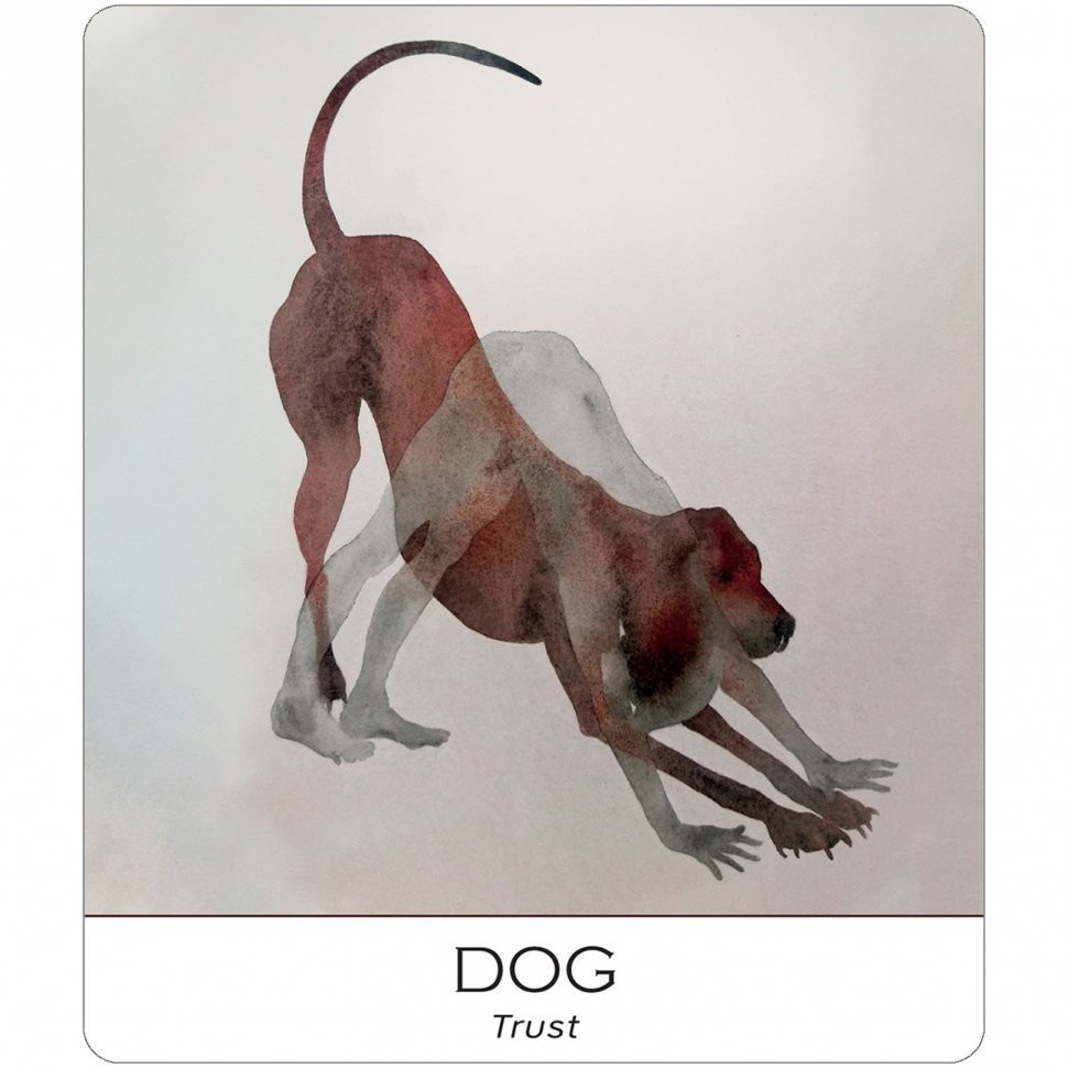 Карты Таро "Nature  Soul Wisdom Yoga" US Games / Мудрость Йоги Природы и Души (46086)