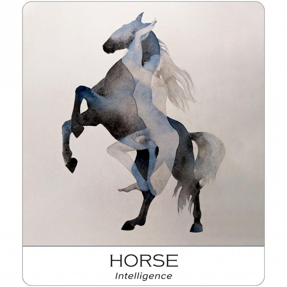 Карты Таро "Nature  Soul Wisdom Yoga" US Games / Мудрость Йоги Природы и Души (46086)