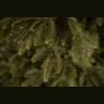 Ель ирландская 120 см зеленая (74394)