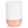 Andrea House Стакан для зубных щеток Porcelain and Copper BA15143