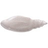 Блюдо "shell" pearl 41см Bronco (336-098)