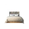 Кровать Berber 160 на 200 26 принт арт BB41/Print_26-ET